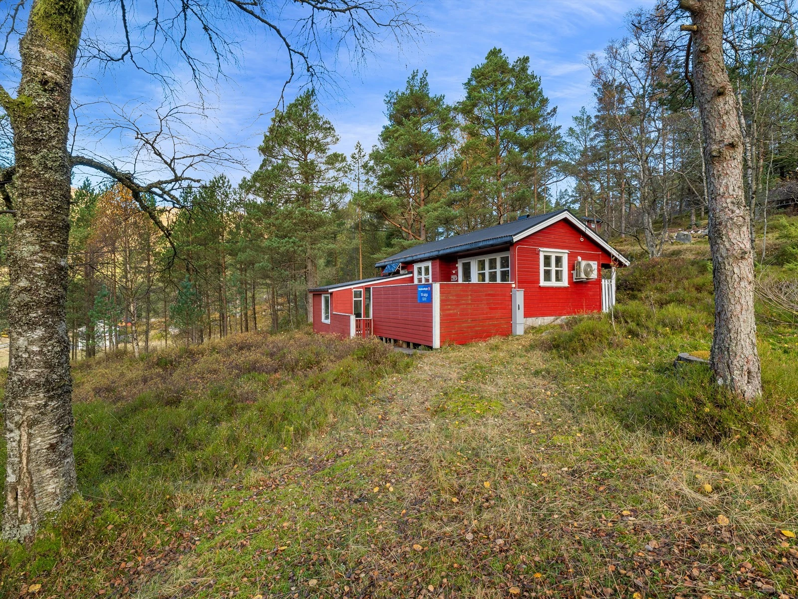 Neutral sofa with cushions and wooden coffee table